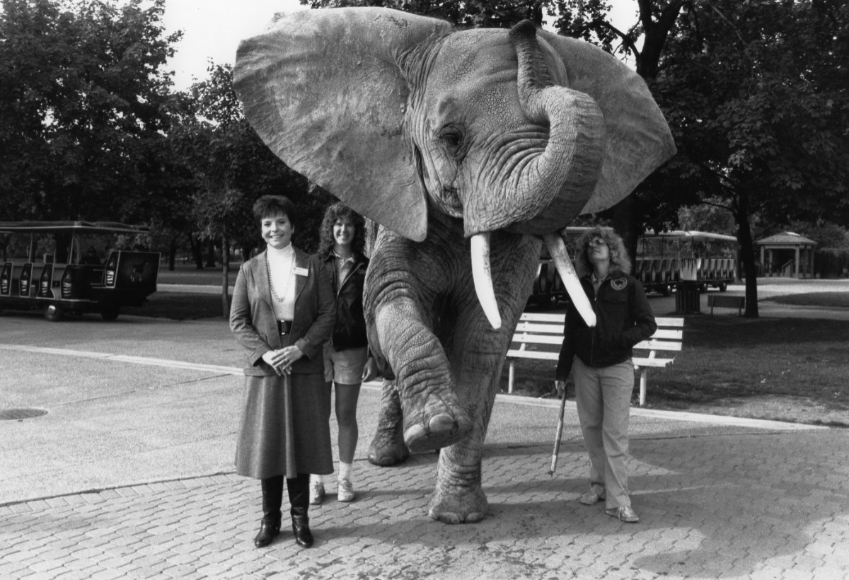 judy baar topinka with elephant at zoo