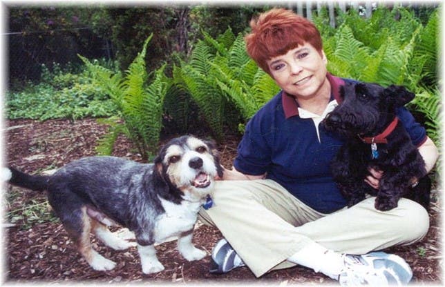 judy baar topinka and the dogs